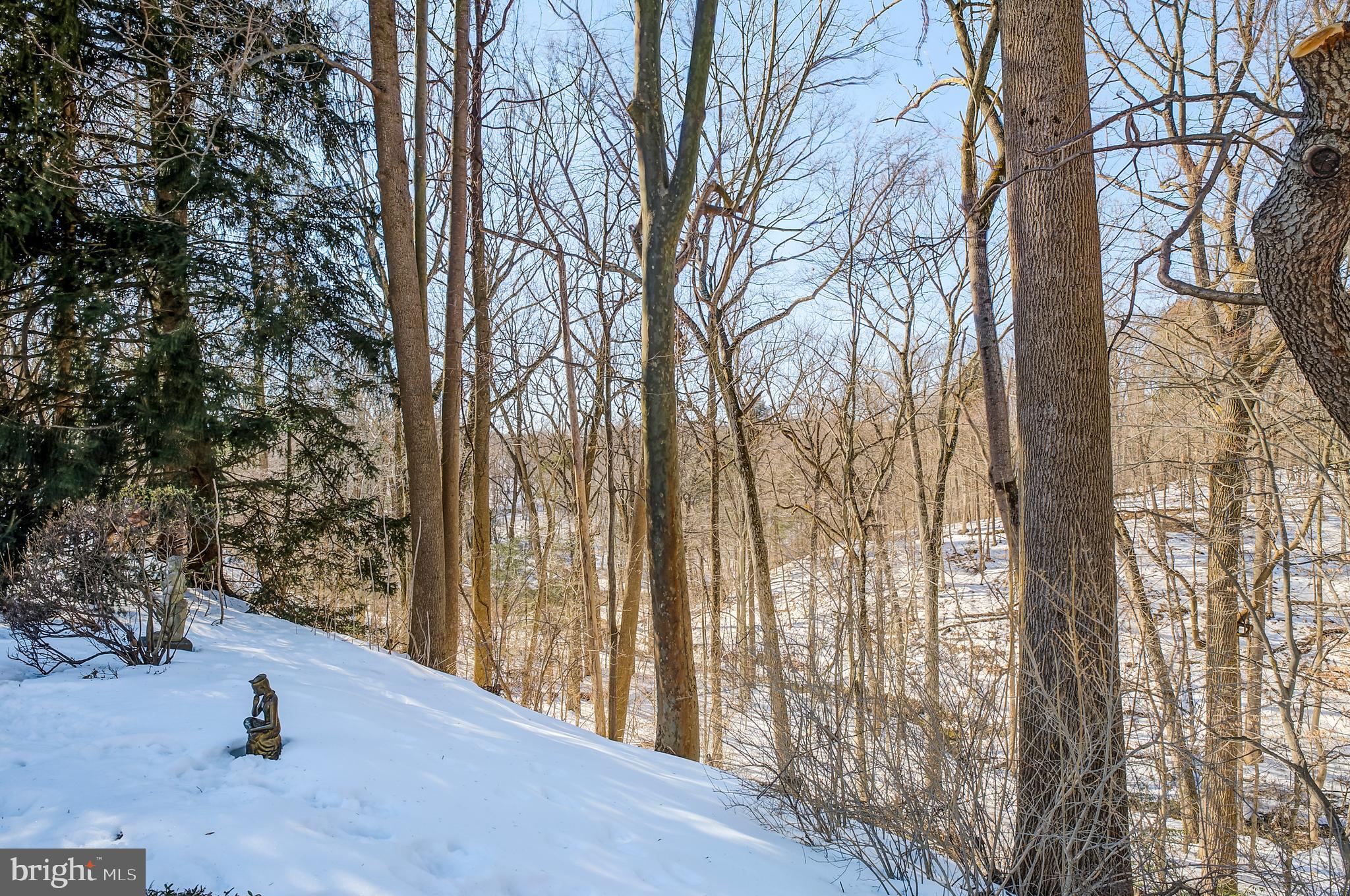 1630 Pennypack Road Huntingdon Valley, PA 19006 - Photo 42 of 42