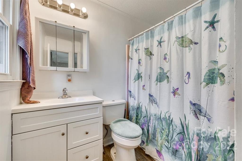 231 Essie Circle Fort Mill, SC 29708 - Photo 21 of 28 a bathroom with a sink toilet and shower
