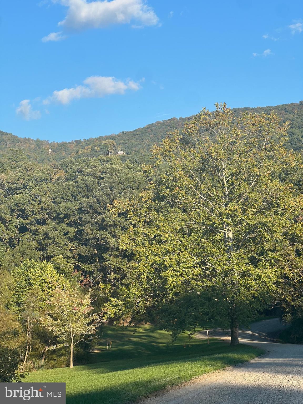 1604 High Knob Road Old Fields, WV 26845 - Photo 18 of 113