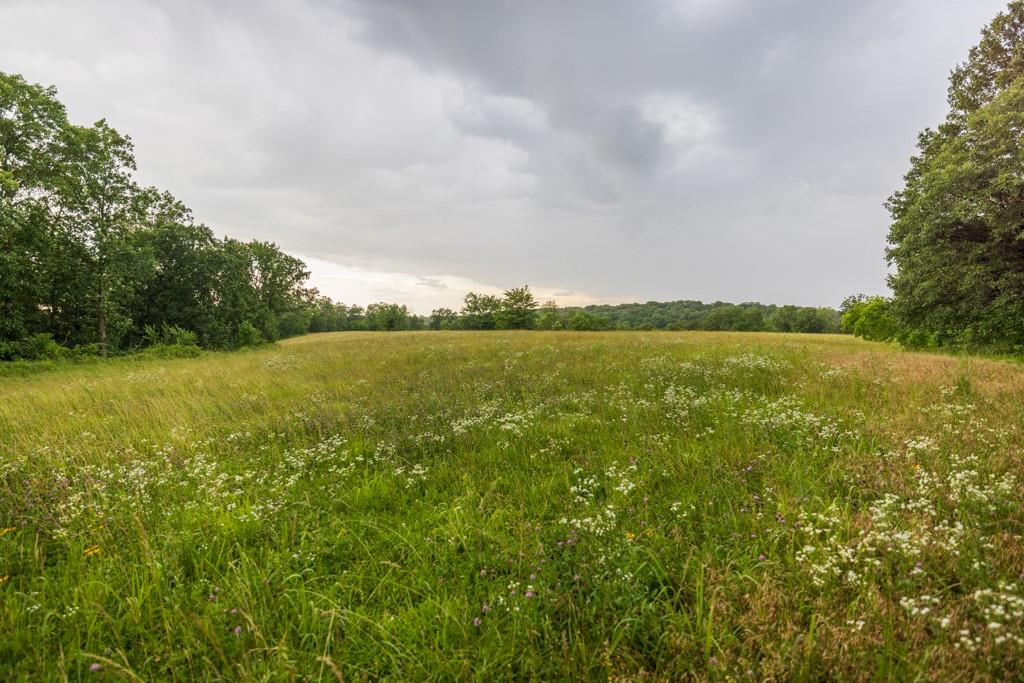 13277 Norris Road Rayville, MO 64084 - Photo 21 of 55