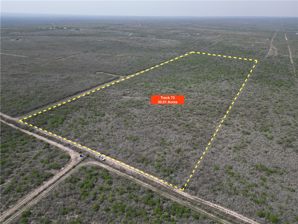 73 Highway 339 Benavides, TX 78341 - Photo 1 of 1 a view of a dry yard with wooden floor