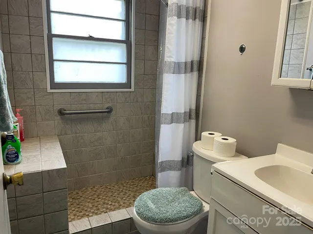 a bathroom with a sink a toilet and shower