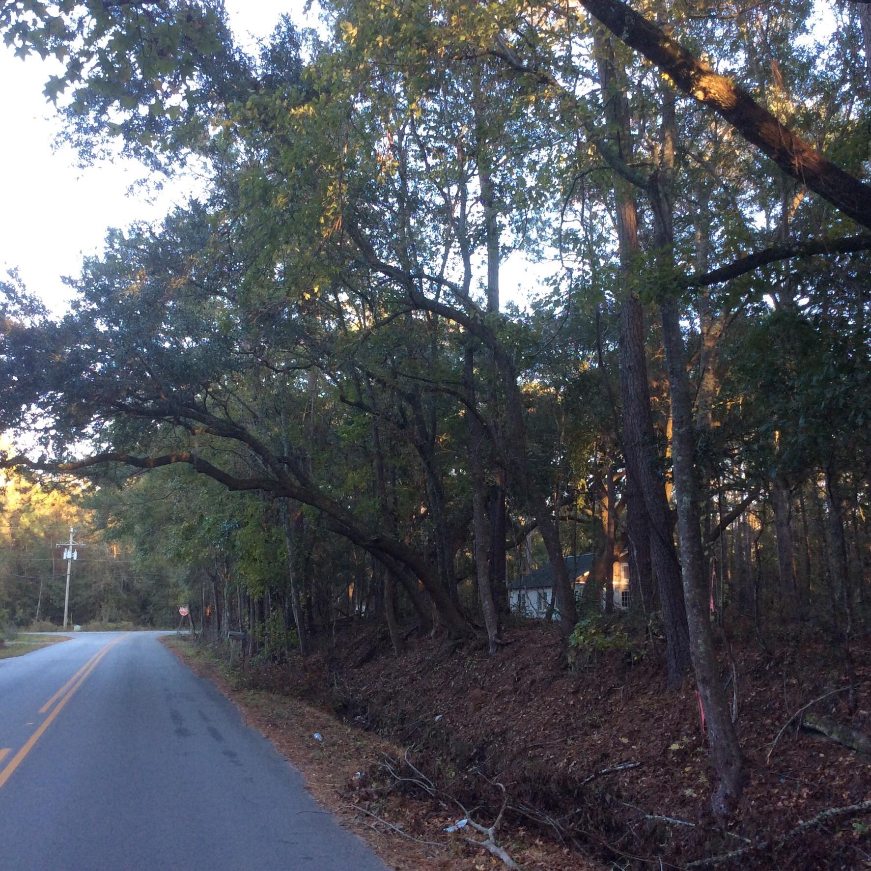 986 Main Road Johns Island, SC 29455 - Photo 1 of 3 image