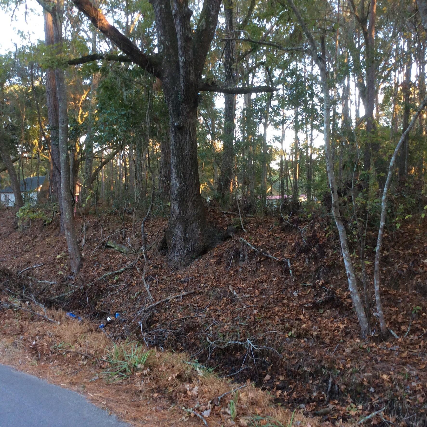 986 Main Road Johns Island, SC 29455 - Photo 2 of 3 image