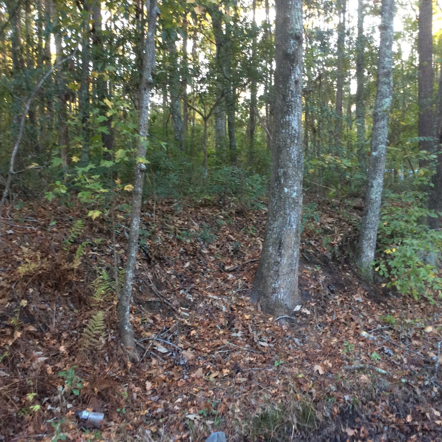 986 Main Road Johns Island, SC 29455 - Photo 3 of 3 image