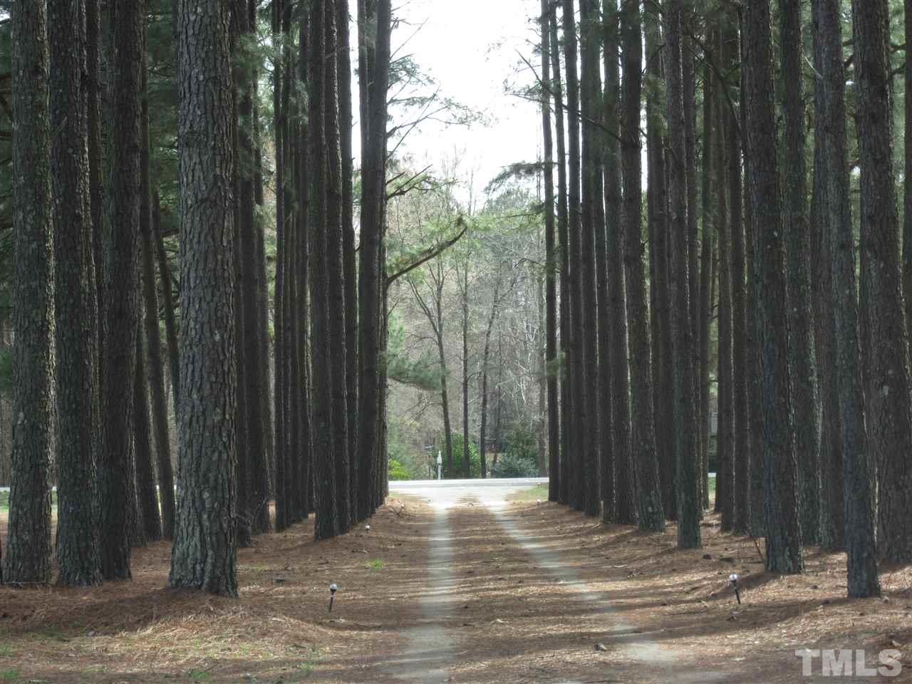8525 Riley Hill Road Zebulon, NC 27597 - Photo 25 of 25 Gallery Image 25