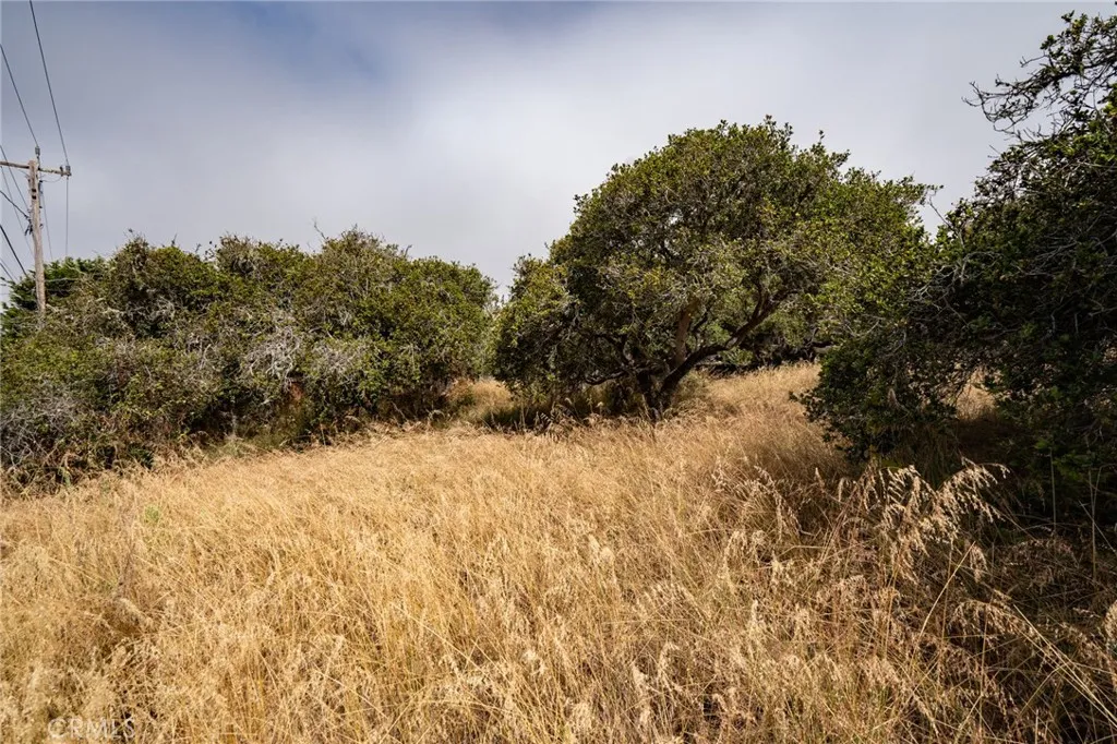 0 Ash Los Osos, CA 93402 - Photo 5 of 14 a view of a yard covered in snow