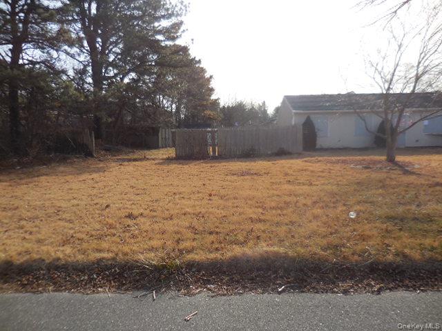 2 Hollow Street Bellport, NY 11713 - Photo 12 of 29 a backyard of a house