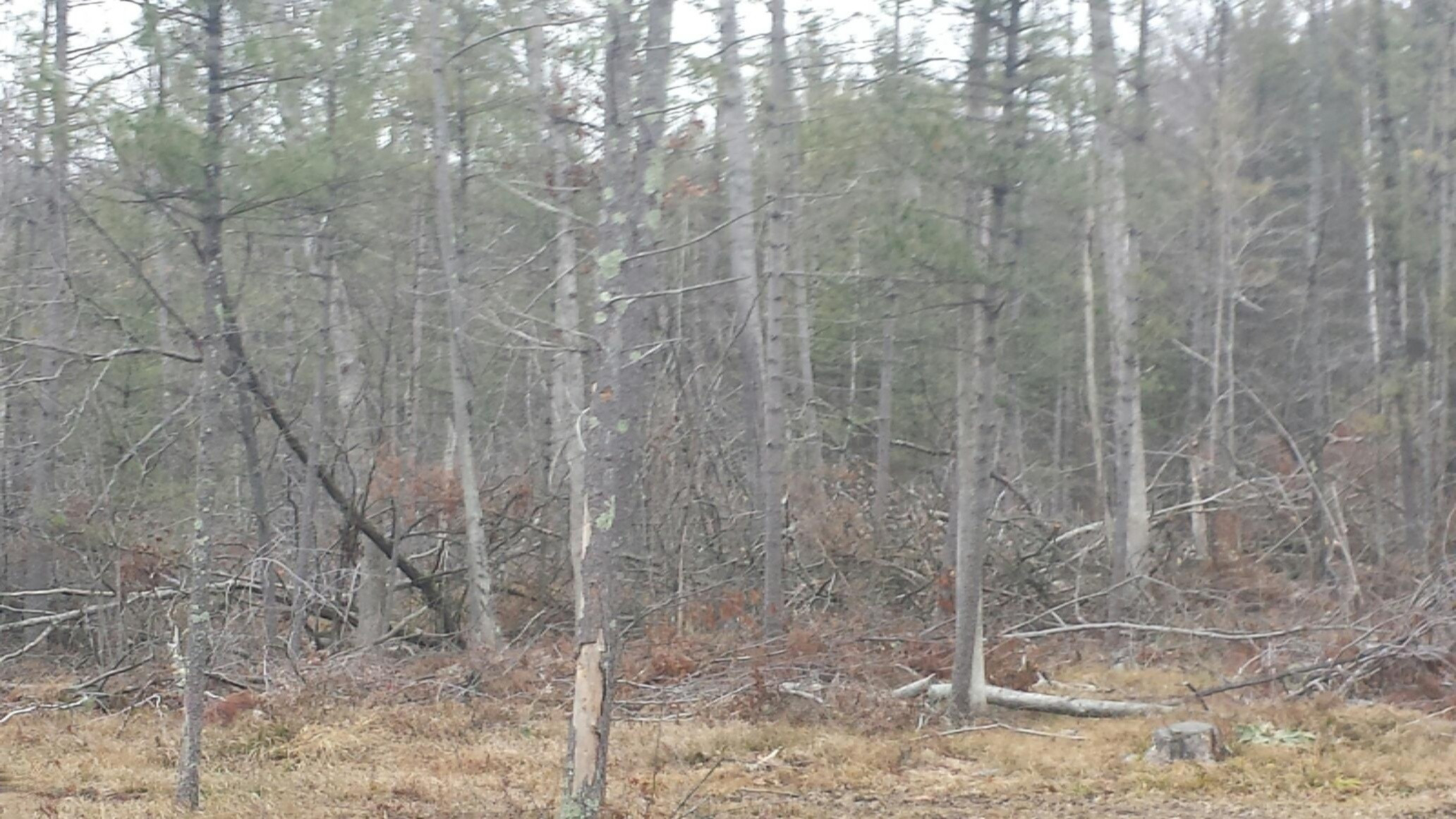 20151217_123216