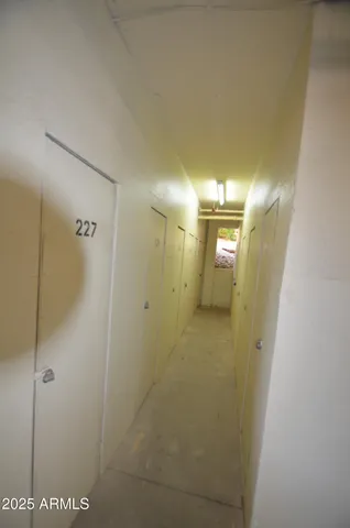 a view of a garden with a fountain