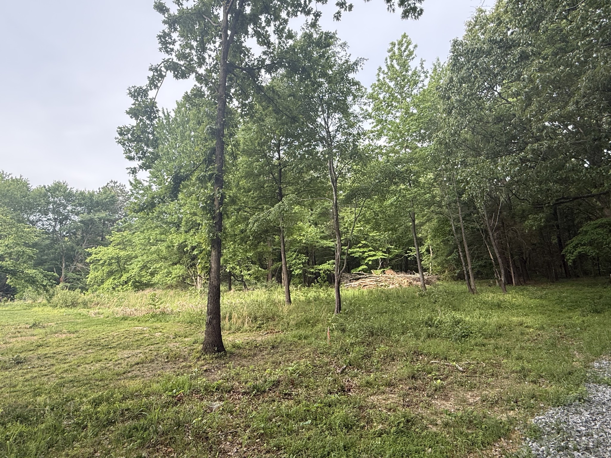 326 Kaiser Road Dickson, TN 37055 - Photo 1 of 4 a view of outdoor space with trees all around