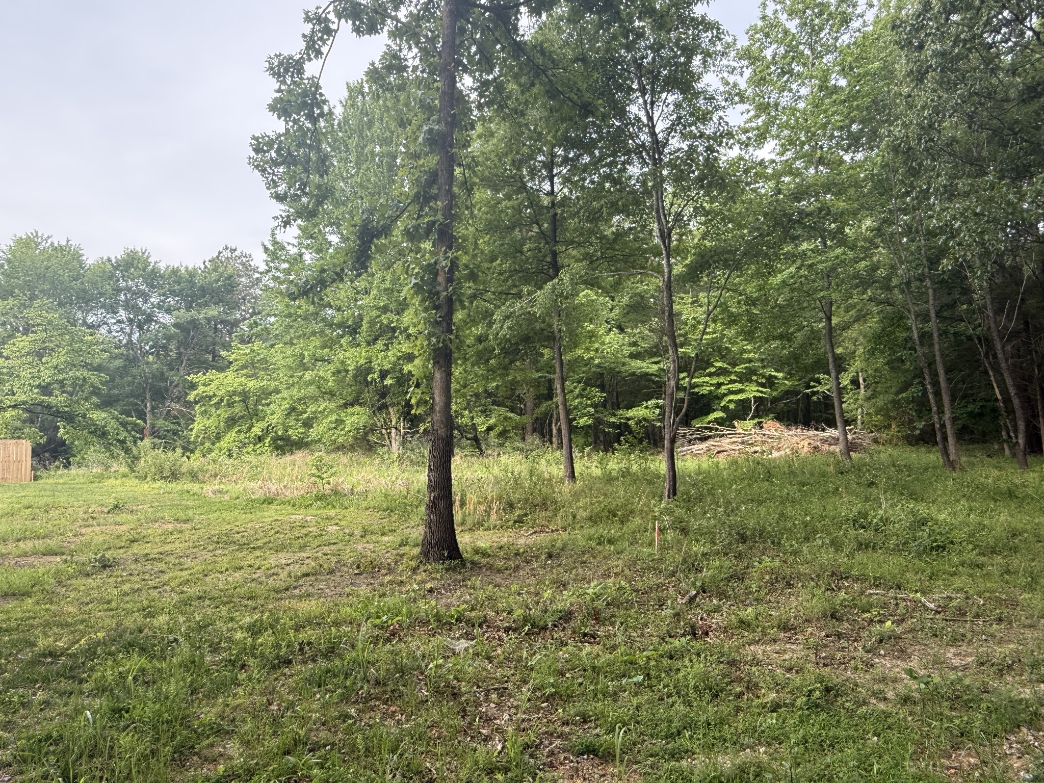 326 Kaiser Road Dickson, TN 37055 - Photo 2 of 4 a view of outdoor space with trees all around