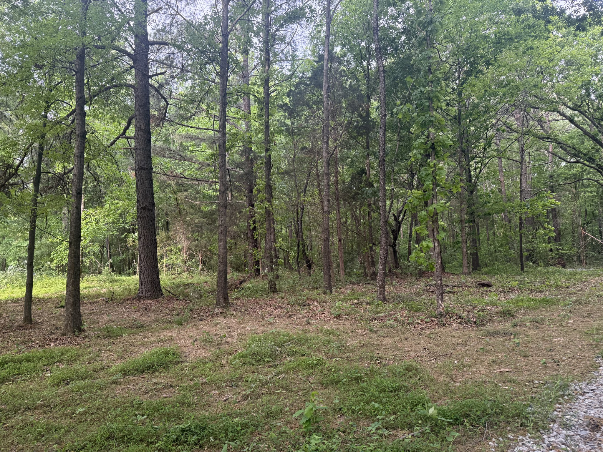 326 Kaiser Road Dickson, TN 37055 - Photo 3 of 4 a view of outdoor space and view of trees