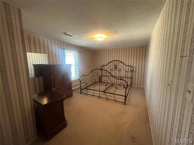 $209,900 | 2458 County Road 622, Fisk, MO 63940