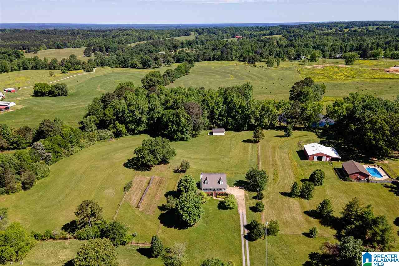 4523 Greathouse Road Dora, AL 35062 - Photo 2 of 50
