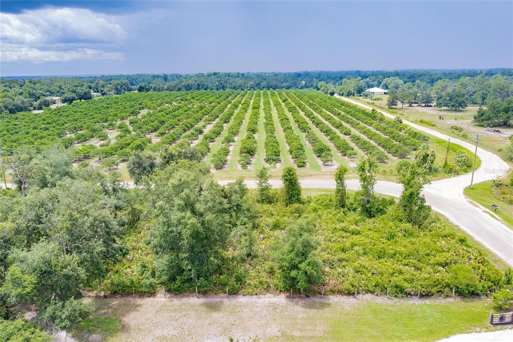 Southwest Gator Trail Arcadia, FL 34266 - Photo 4 of 9 a view of a yard with an umbrella