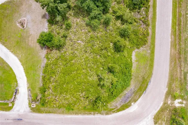 a view of a swimming pool with a garden