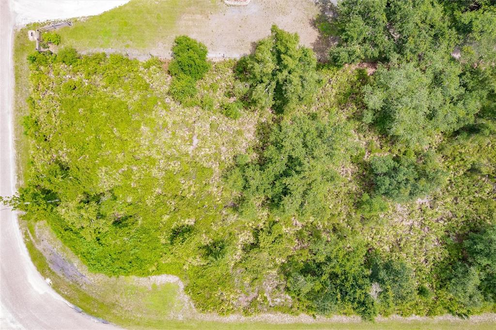 Southwest Gator Trail Arcadia, FL 34266 - Photo 7 of 9 a view of a garden with a plant