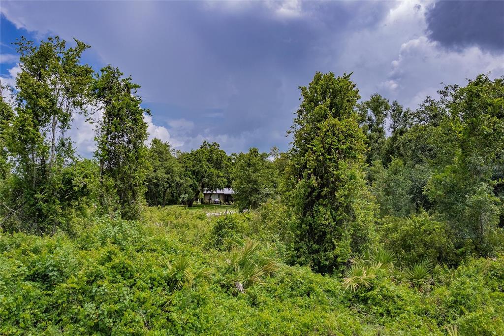 Southwest Gator Trail Arcadia, FL 34266 - Photo 8 of 9 a view of a garden