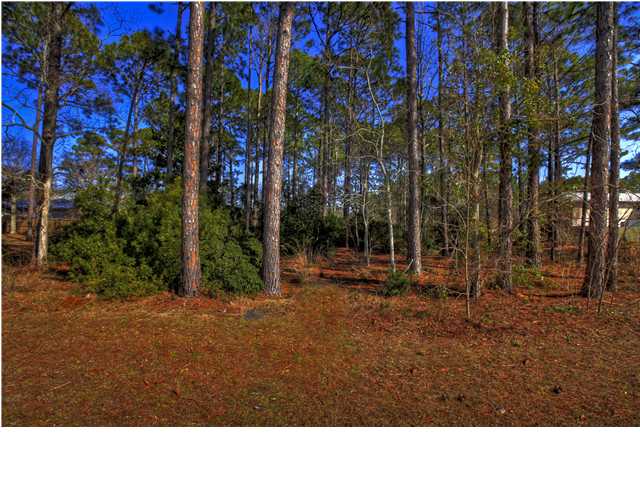 136 Pine Street Port St. Joe, FL 32456 - Photo 1 of 1