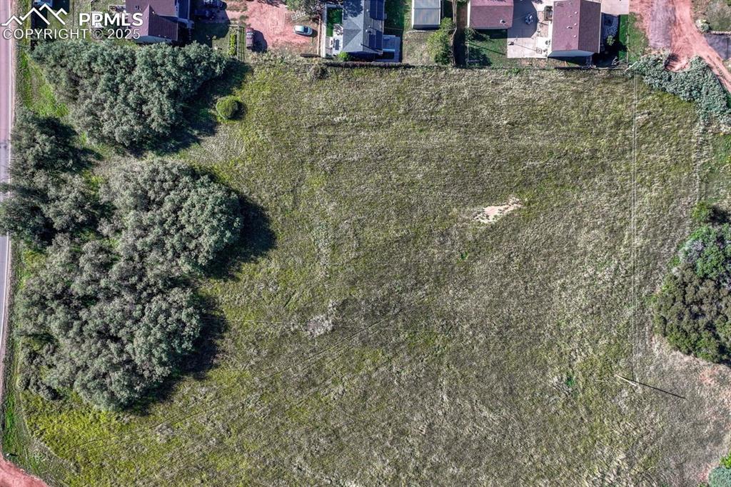 15989 South Perry Park Road Palmer Lake, CO 80133 - Photo 11 of 19 a view of a yard with plants and large trees