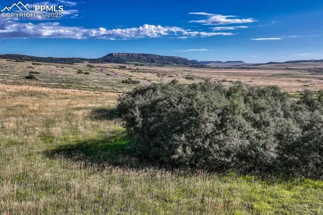 a view of a garden with lawn chairs