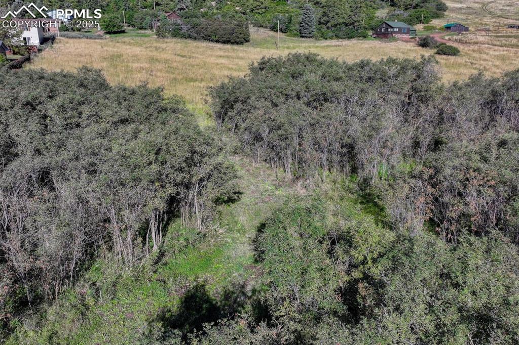 15989 South Perry Park Road Palmer Lake, CO 80133 - Photo 15 of 19 a view of a road with a yard