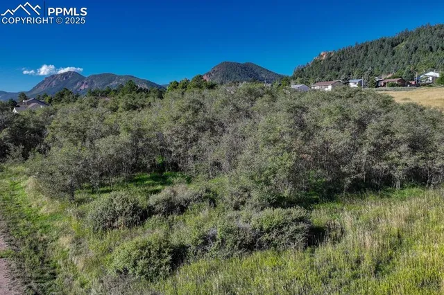 a view of outdoor space and yard