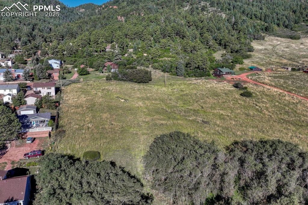 15989 South Perry Park Road Palmer Lake, CO 80133 - Photo 18 of 19 a view of a yard with plants and large trees