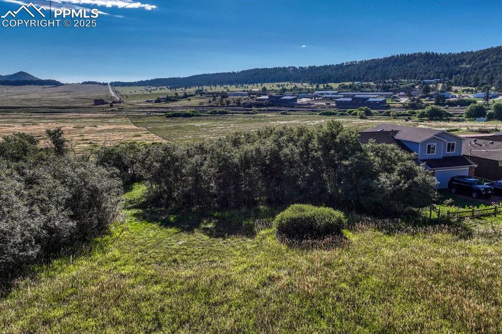 15989 South Perry Park Road Palmer Lake, CO 80133 - Photo 2 of 19