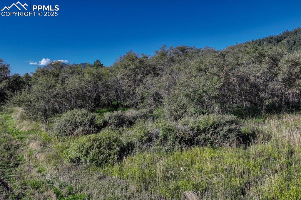 15989 South Perry Park Road Palmer Lake, CO 80133 - Photo 10 of 19 a view of a field