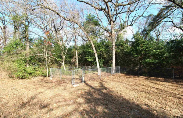 a front view of house with yard and trees