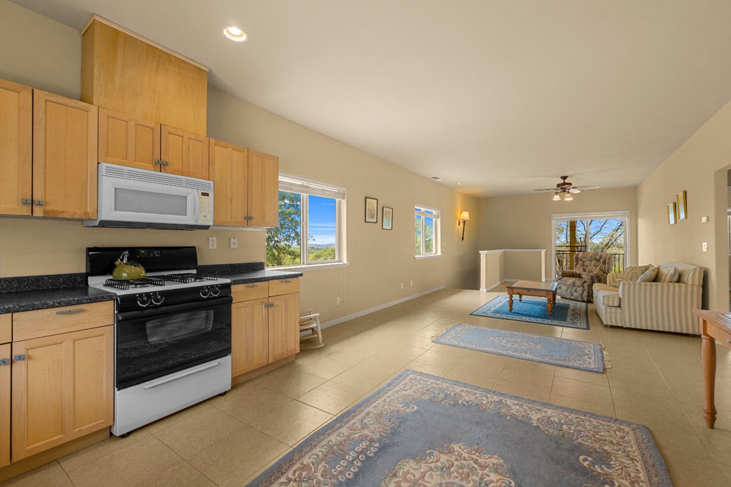 2211 Terrace View Court Cool, CA 95614 - Photo 79 of 99