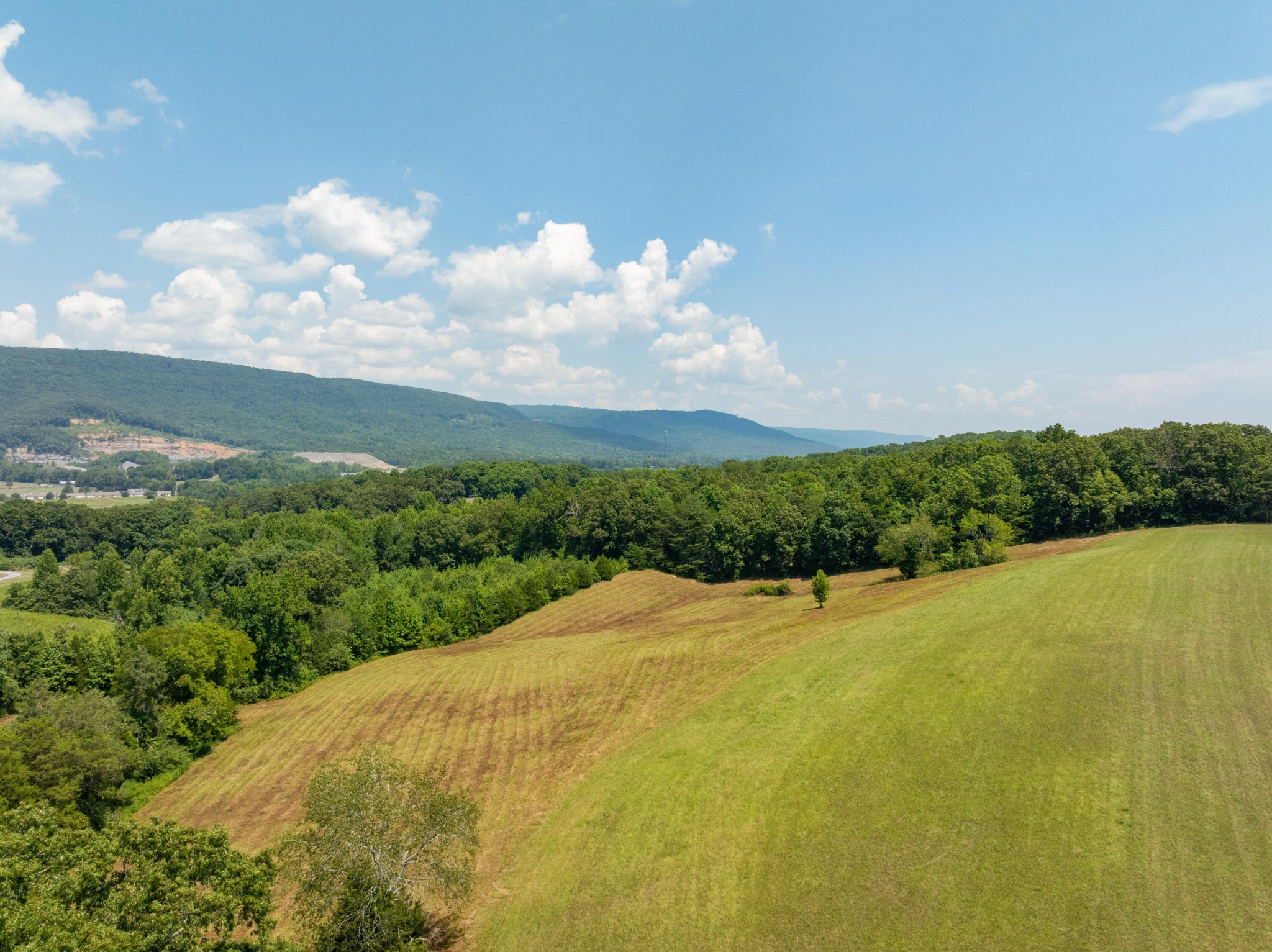 919 John Burch Road West Dunlap, TN 37327 - Photo 59 of 66