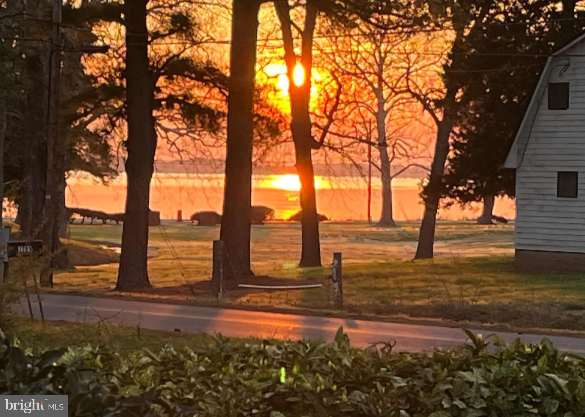 1705 Hambrooks Boulevard Cambridge, MD 21613 - Photo 22 of 22 a view of a yard with trees