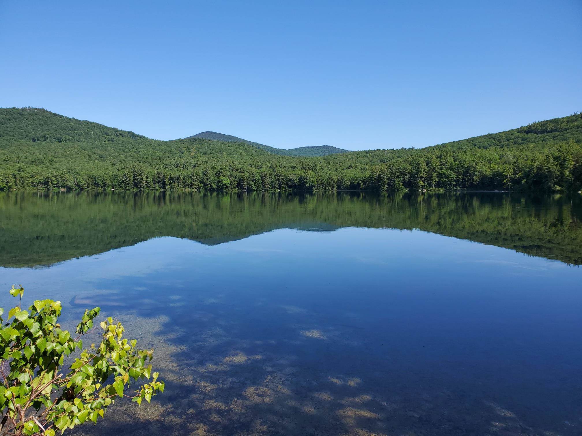 59 Conner Pond Road Ossipee, NH 03814 - Photo 11 of 15