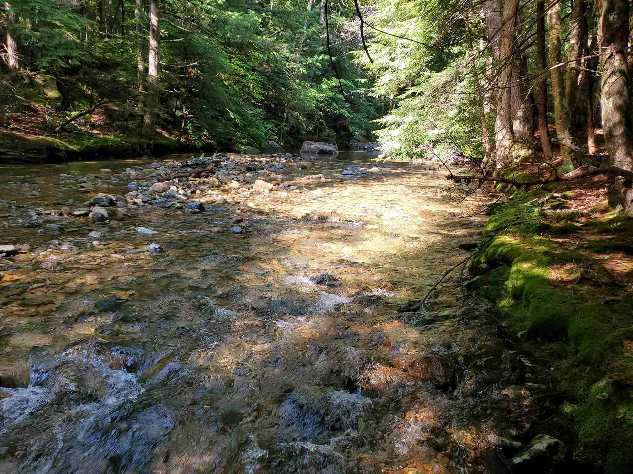 59 Conner Pond Road Ossipee, NH 03814 - Photo 13 of 15