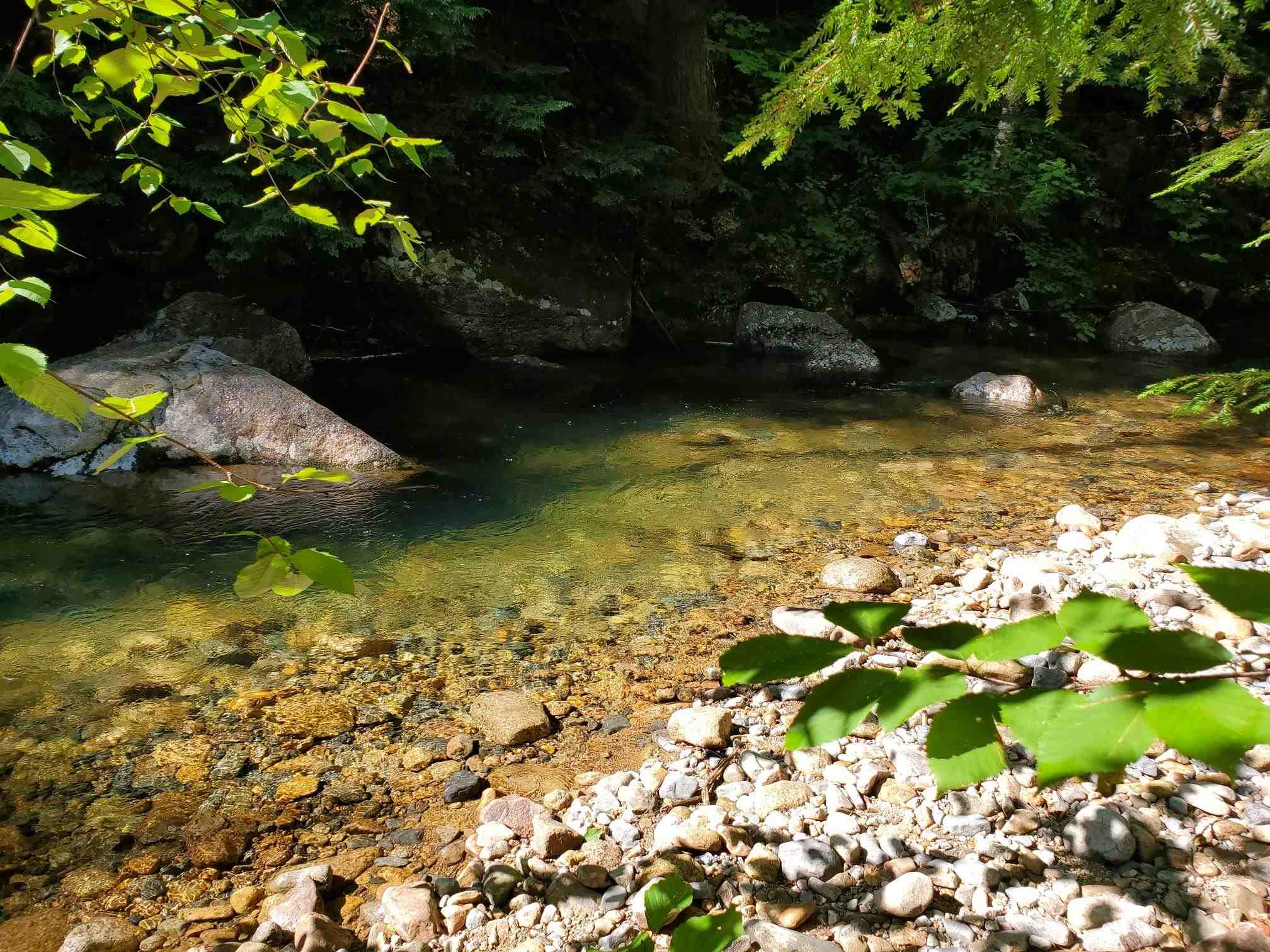 59 Conner Pond Road Ossipee, NH 03814 - Photo 14 of 15