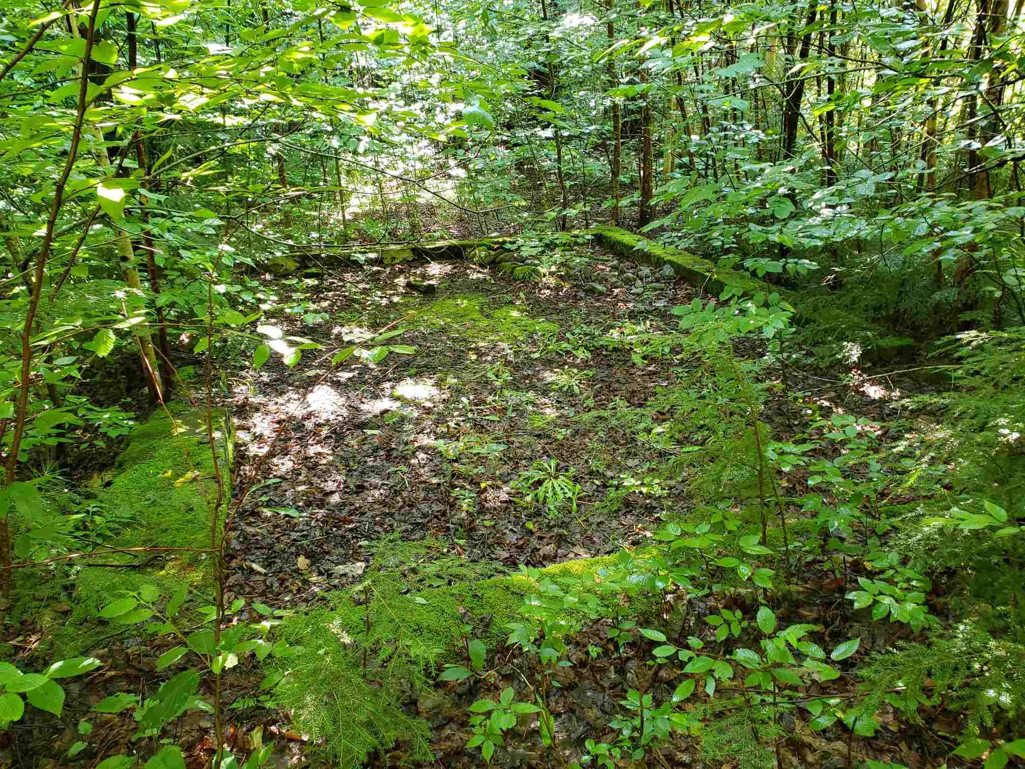 59 Conner Pond Road Ossipee, NH 03814 - Photo 4 of 15