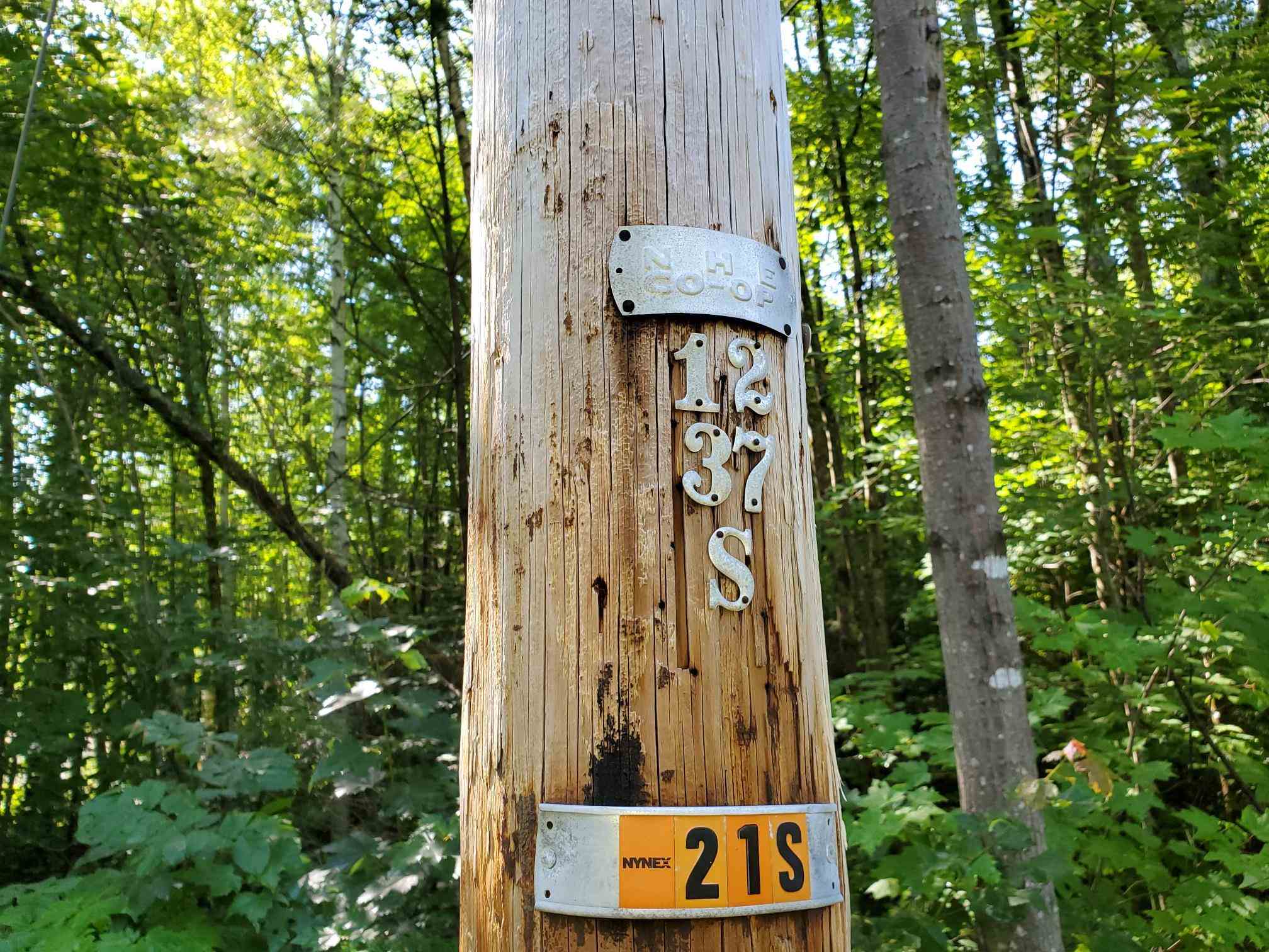 59 Conner Pond Road Ossipee, NH 03814 - Photo 5 of 15