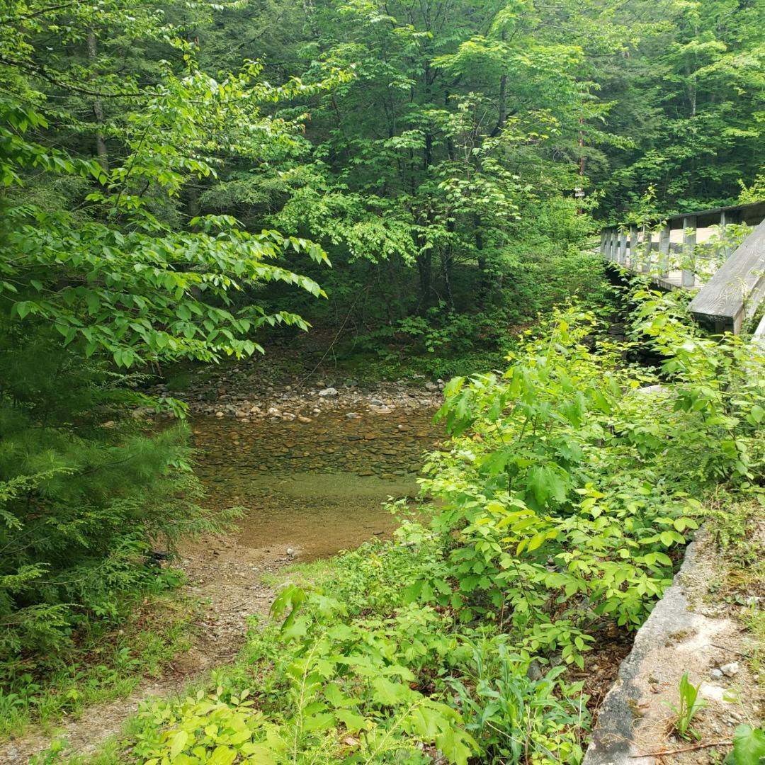 59 Conner Pond Road Ossipee, NH 03814 - Photo 7 of 15