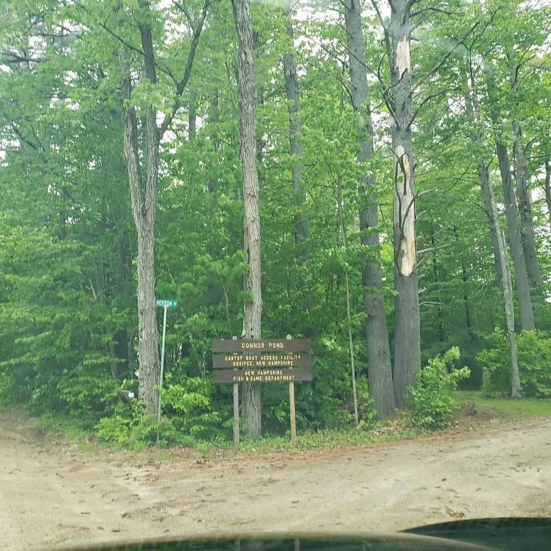 59 Conner Pond Road Ossipee, NH 03814 - Photo 9 of 15