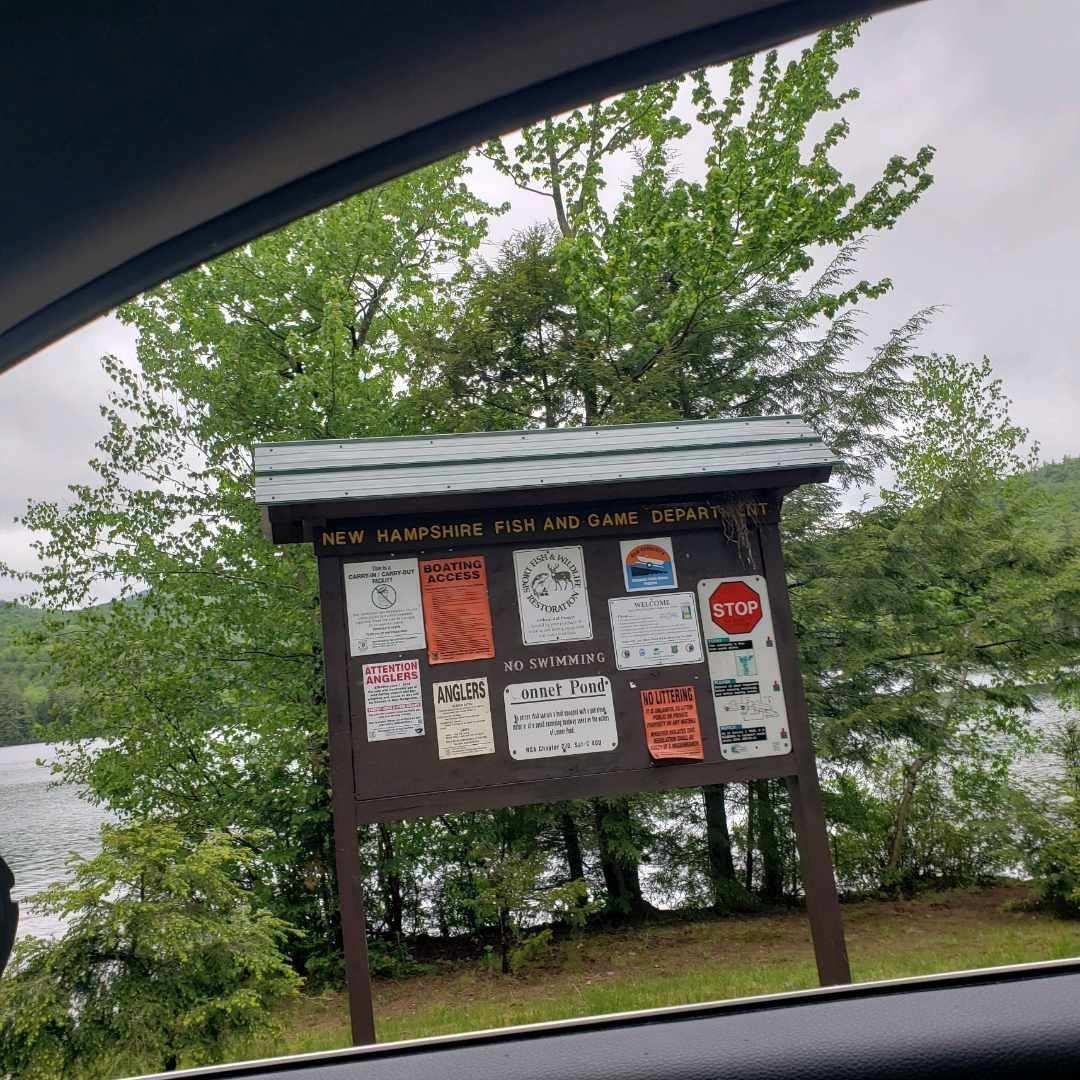 59 Conner Pond Road Ossipee, NH 03814 - Photo 10 of 15