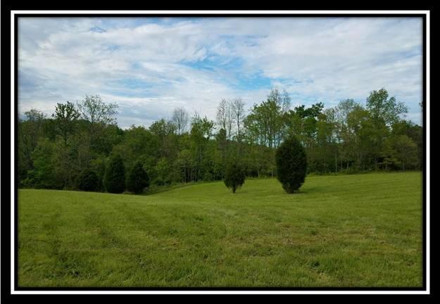 37364 Bashan Road Long Bottom, OH 45743 - Photo 3 of 8
