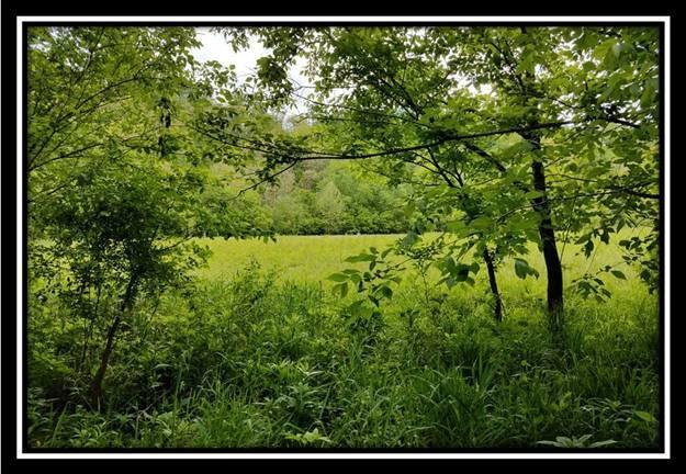 37364 Bashan Road Long Bottom, OH 45743 - Photo 6 of 8