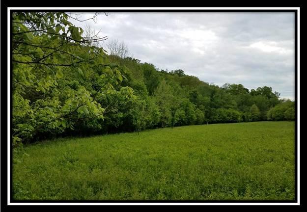 37364 Bashan Road Long Bottom, OH 45743 - Photo 8 of 8