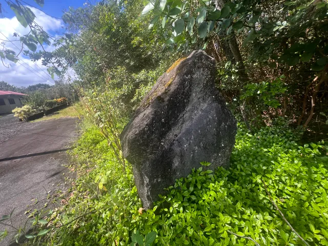 a picture of flowers