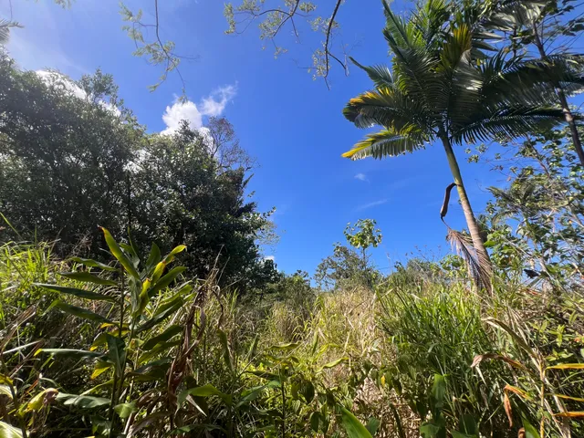 a view of a swimming pool in a backyard