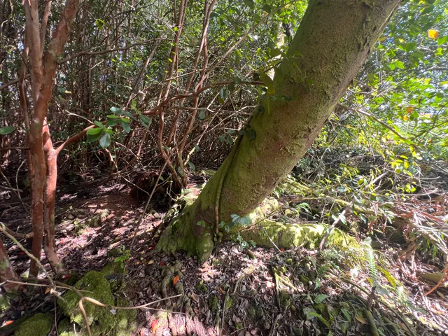 a view of a street with a building