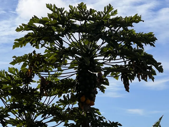 a view of road and yard